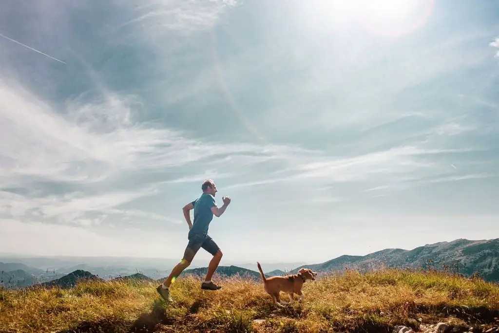 train-your-dog-to-run-with-you-build-endurance