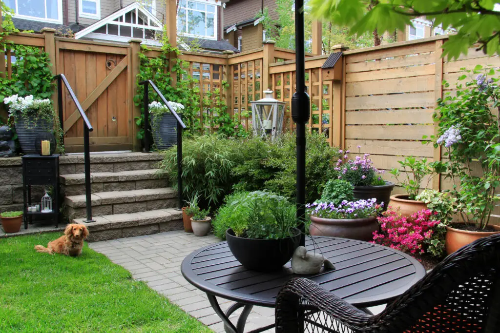 Dog friendly backyard setup with plants