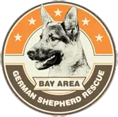 Bay Area German Shepard Rescue dog shelter in San Francisco Bay area
