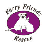 Furry Friends Rescue dog shelter in San Francisco Bay area