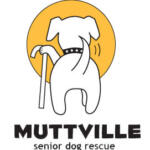 Muttville San Francisco Bay Area dog shelter in San Francisco Bay area