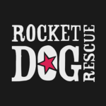 Rocket Dog Rescue dog shelter in San Francisco Bay area