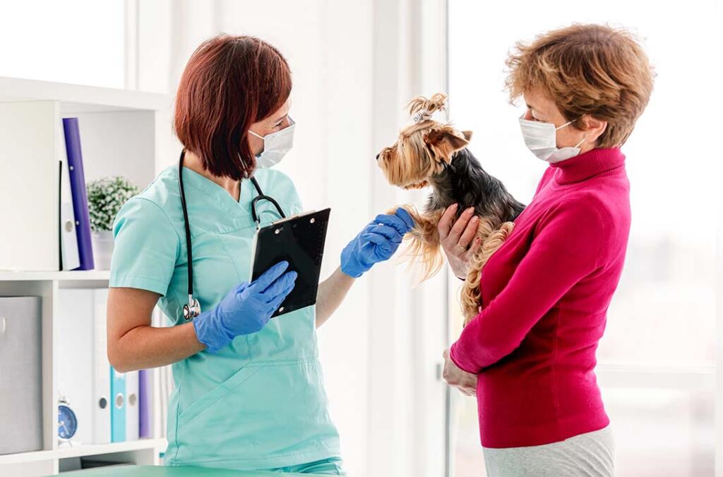 Person at vet office with dog