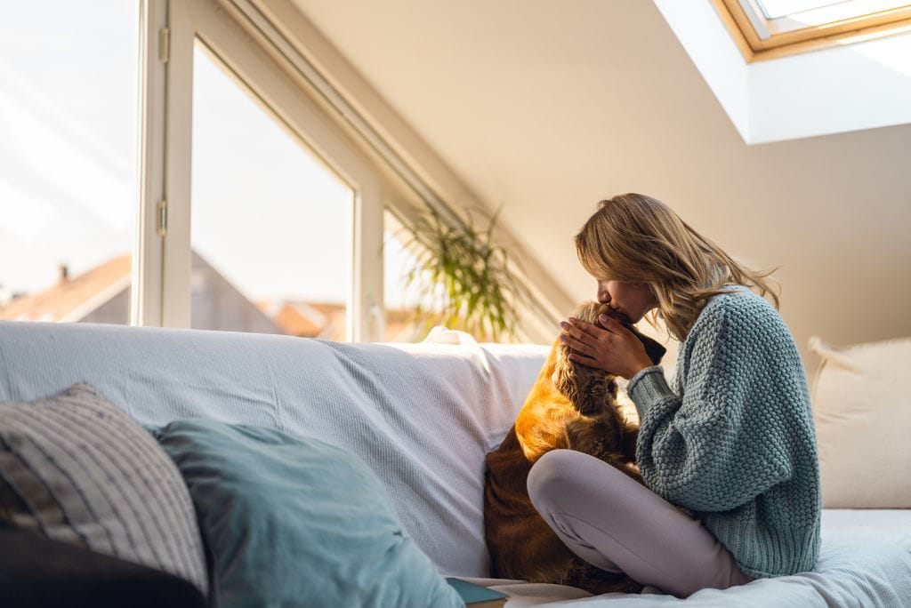 how-to-bond-with-a-dog